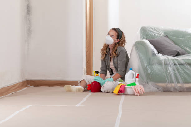 Reliable Mold Remediation contractor in Cockeysville, MD by WQB Mold Removal